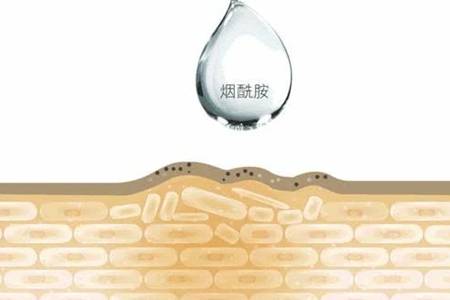 煙酰胺是水溶性還是脂溶性 煙酰胺對皮膚有什么作用