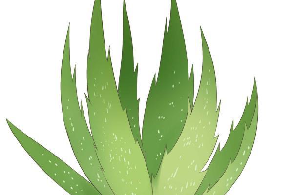 皮膚干燥怎么補(bǔ)水最快