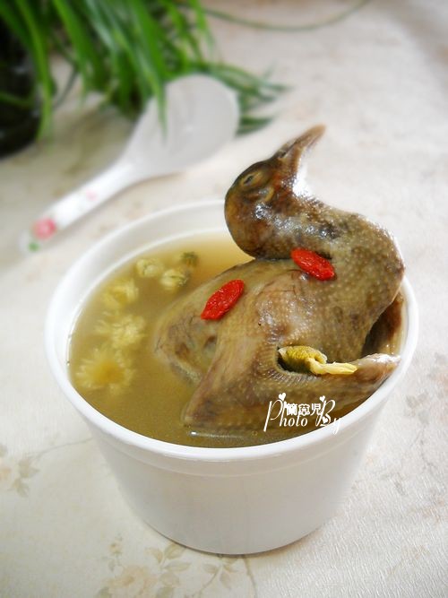 枸杞菊花燉乳鴿的做法-家常味燉菜譜 枸杞菊花燉乳鴿的做法-家常味燉菜譜