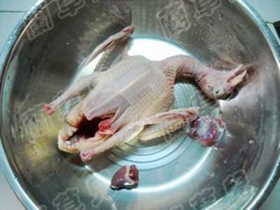 枸杞菊花燉乳鴿的做法-家常味燉菜譜 枸杞菊花燉乳鴿的做法-家常味燉菜譜