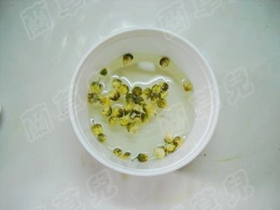 枸杞菊花燉乳鴿的做法-家常味燉菜譜 枸杞菊花燉乳鴿的做法-家常味燉菜譜