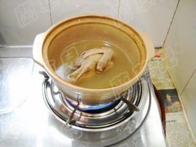 枸杞菊花燉乳鴿的做法-家常味燉菜譜 枸杞菊花燉乳鴿的做法-家常味燉菜譜