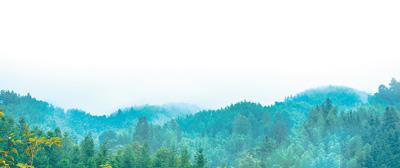 積極應對人口老齡化促進人口均衡發展