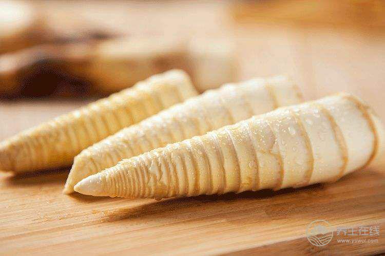 冬筍和春筍的區別? 冬筍和春筍的區別?