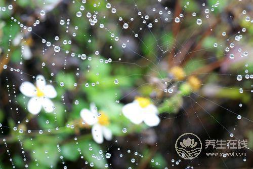 千寒易除，一濕難去，夏天祛濕怎么做？
