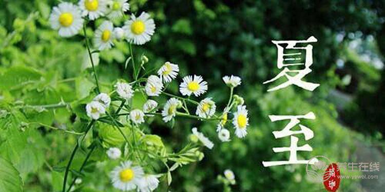 2019年什么時(shí)候夏至 夏至?xí)r間幾點(diǎn)幾分
