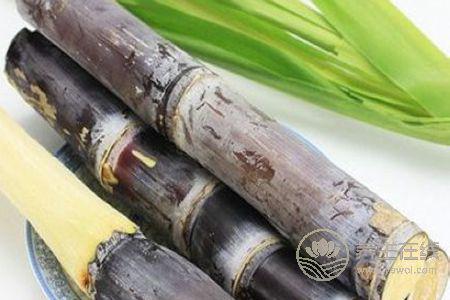 春季預防慢性咽炎方法有哪些? 春季預防慢性咽炎方法有哪些?