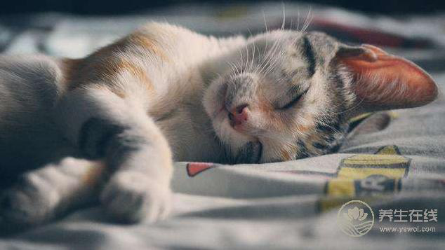 夏天渾身沒勁？3點幫到你