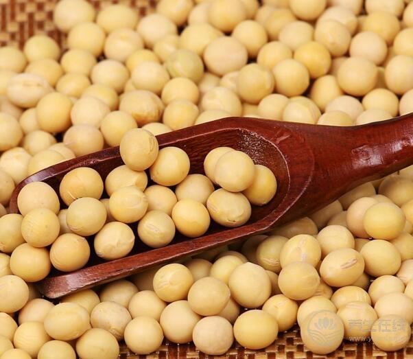 霜降后,<a href=http://www.xllyou.com/jkys/ target=_blank class=infotextkey>養生</a>吃這5種食物最合適 霜降后,養生吃這5種食物最合適