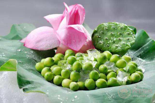 大暑如何養(yǎng)生 大暑如何養(yǎng)生