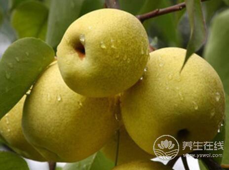 小雪節氣如何預防上火呢