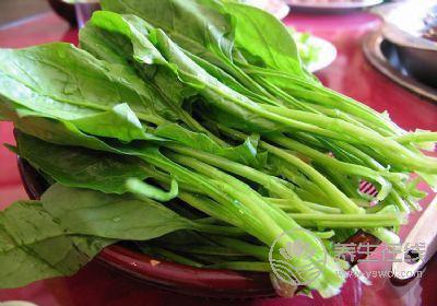 一年之計在于春，春季養生須知