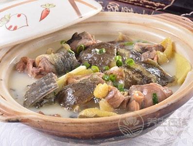 清燉甲魚湯的做法  讓身體溫暖整個(gè)冬天