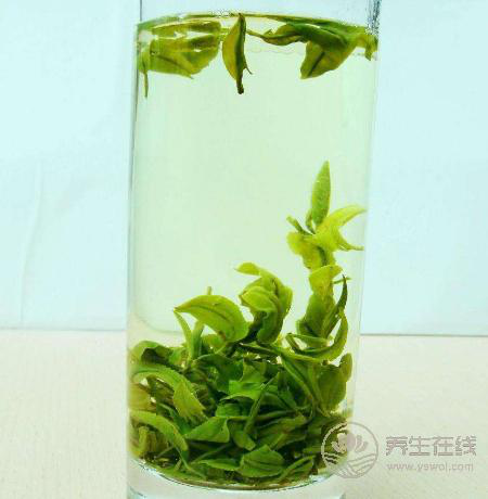 清明茶什么時候采？喝清明茶有哪些好處