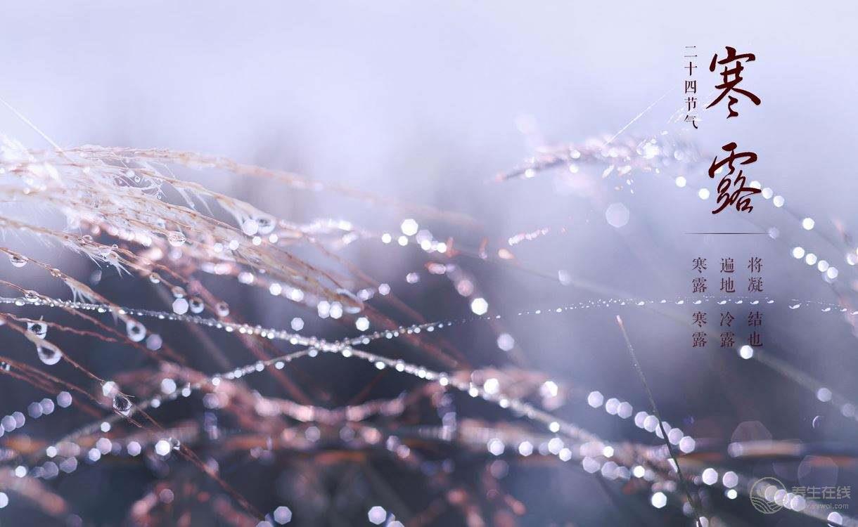秋冬季節養生就吃它,2塊1斤滋補賽人參 秋冬季節養生就吃它,2塊1斤滋補賽人參
