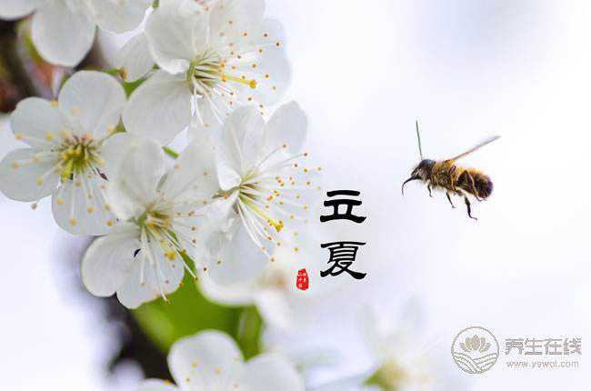 初夏五月、飲食起居養(yǎng)生大法，了解一下