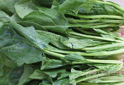 春季多吃這4種蔬菜，能補氣血，面色紅潤