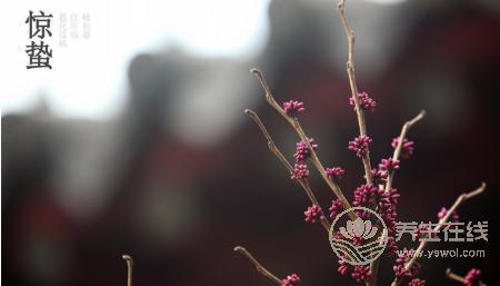 2019年什么時(shí)候驚蟄 驚蟄時(shí)間是幾點(diǎn)幾分 2019年什么時(shí)候驚蟄 驚蟄時(shí)間是幾點(diǎn)幾分