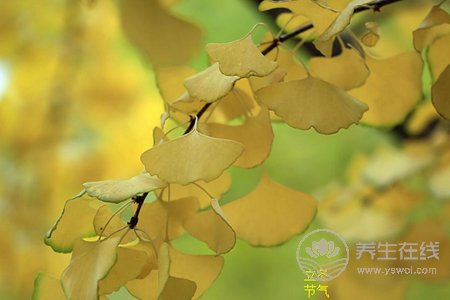 2018年立冬是幾月幾號?