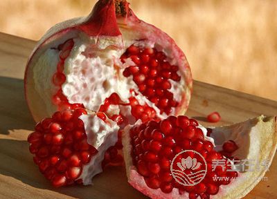 秋季養(yǎng)生重在“潤肺”!7大“養(yǎng)肺”食物為家人收了 秋季養(yǎng)生重在“潤肺”!7大“養(yǎng)肺”食物為家人收了