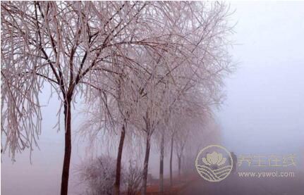 立冬節氣的由來 立冬有什么習俗 立冬節氣的由來 立冬有什么習俗