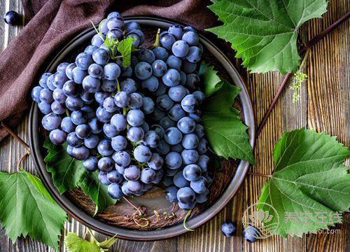 男人春季腎虛，沒關系，三種水果恢復戰斗力