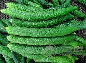 五月份，應該吃什么食物比較養生呢？