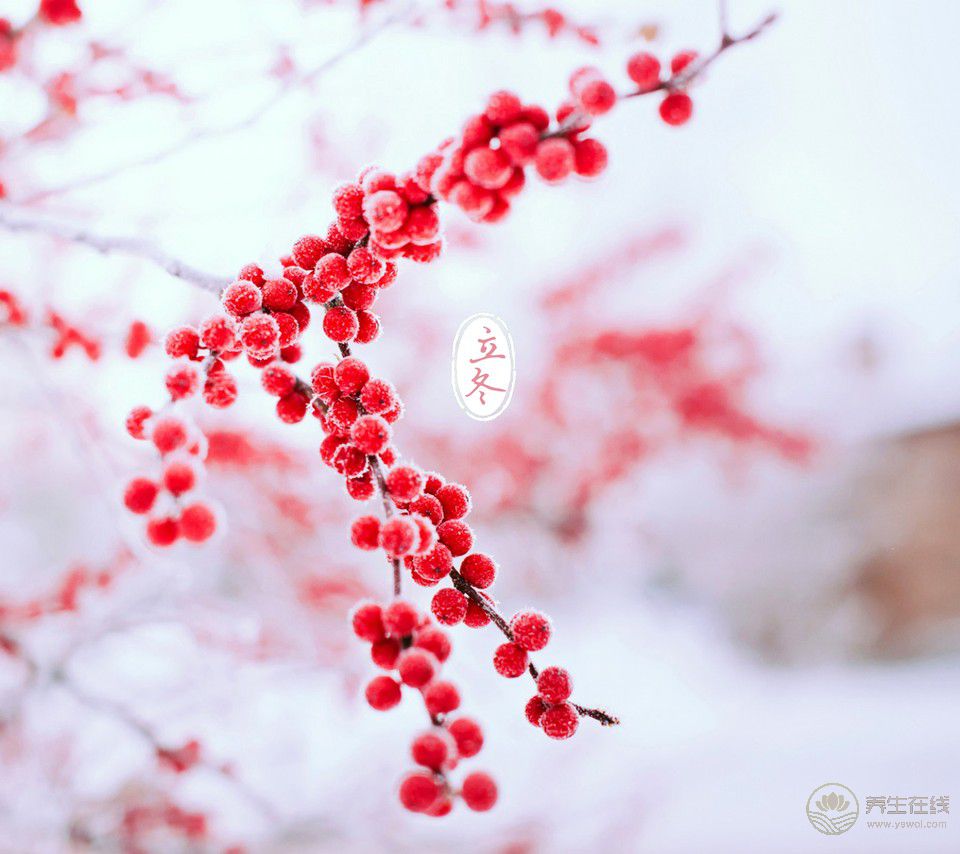 立冬和冬至的習俗有啥區(qū)別 立冬和冬至的習俗有啥區(qū)別