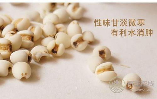 夏季會吃薏仁更養生，推薦幾種健康吃法