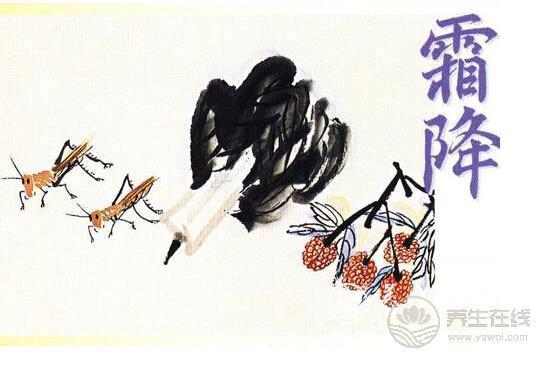 霜降養生是什么？