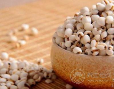 秋季吃什么粗糧可以減肥？