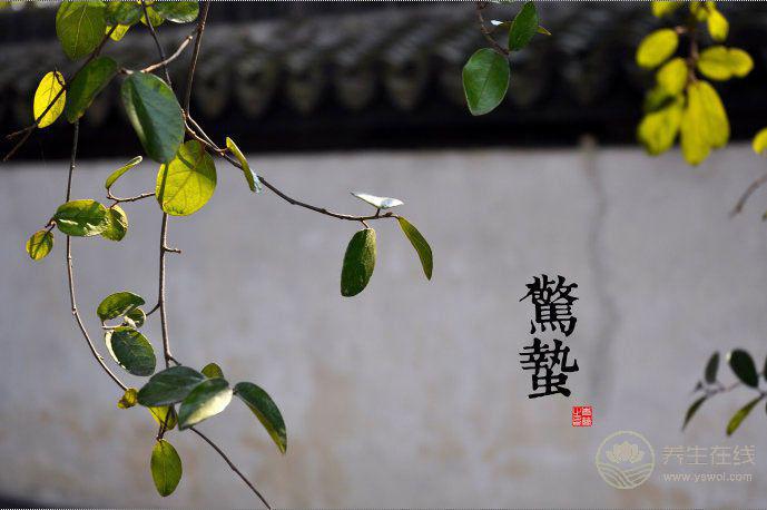 2018年驚蟄時間，驚蟄天氣如何，驚蟄有哪些習俗，驚蟄如何養生