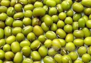 夏日必吃四大樣食補(bǔ)食物