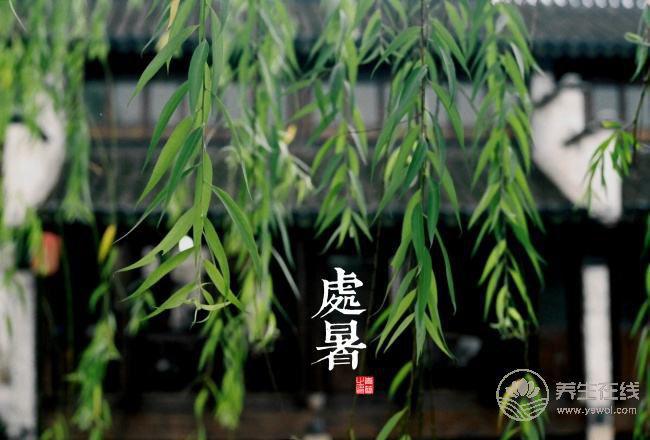 2017年二十四節氣—處暑  處暑是什么？