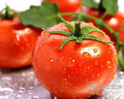 上火了別吃藥,吃它也能降火 上火了別吃藥,吃它也能降火