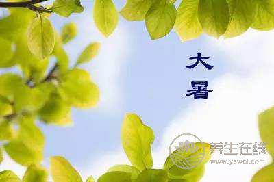 大暑時節,家庭消暑必知的中藥涼茶配方 大暑時節,家庭消暑必知的中藥涼茶配方