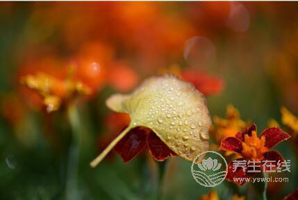 寒露時節適合老人養生運動的有哪些？