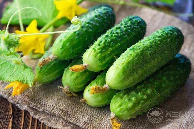 夏天吃黃瓜竟有這么多好處  可獲十大營養(yǎng)功效
