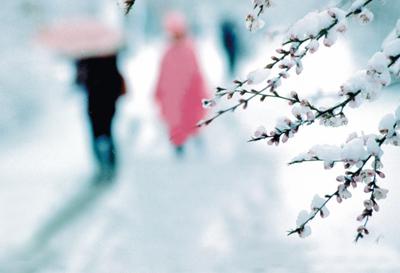 小雪節(jié)氣后適合吃溫潤(rùn)益腎的食物 小雪節(jié)氣后適合吃溫潤(rùn)益腎的食物