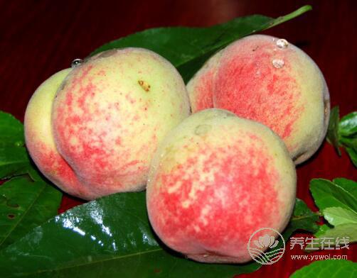 8月份不可錯過的水果，味美營養養生