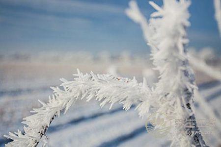 大雪節日如何養生? 大雪節日如何養生?