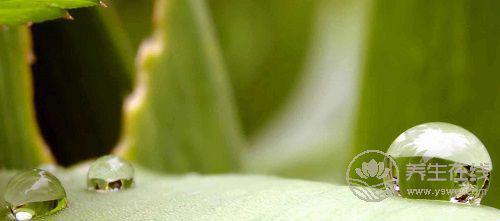 春夏交替，養生飲食需要注意什么？