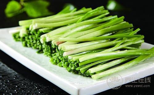春季養(yǎng)生保健菜 吃韭菜的七個學(xué)問