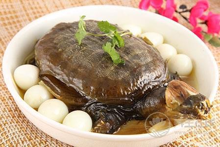 清燉甲魚湯的做法  讓身體溫暖整個(gè)冬天