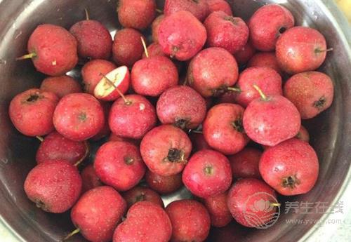 冬天健康飲食，少不了這些食物，一定有你喜歡吃的