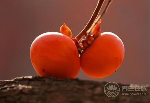 進入十月份,常吃這些水果,養(yǎng)人又養(yǎng)生 進入十月份,常吃這些水果,養(yǎng)人又養(yǎng)生