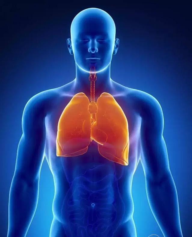 夏天是“養肺黃金期”，做到這4招，一年不得肺病！