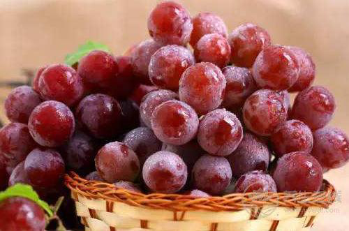 立秋之后葡萄熟了，但別亂吃，不同顏色的葡萄作用不同