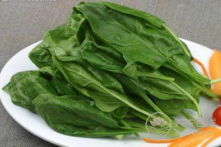 秋季飲食食譜是什么?