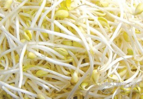 春天多吃這4種蔬菜,好吃更健康 春天多吃這4種蔬菜,好吃更健康